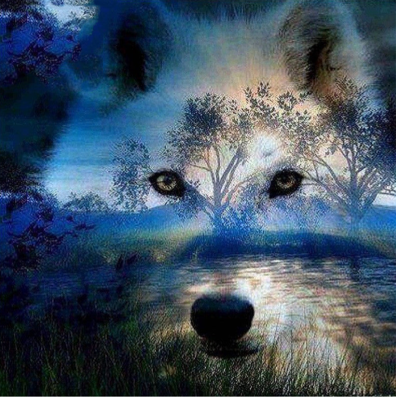 Wolf Diamond Painting