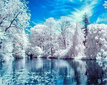 Winterlandschaft