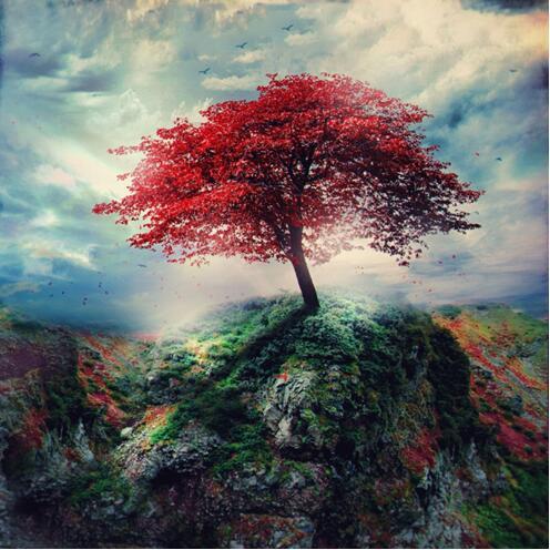 Baum des Lebens Diamond Painting