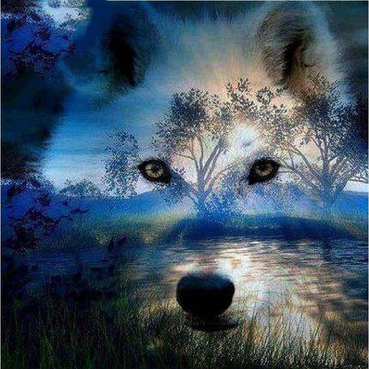 Wolf der Natur
