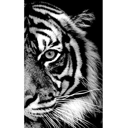 Tiger in Schwarzweiß