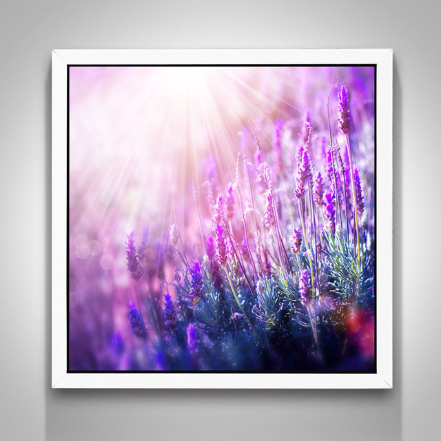 Lavendel Diamondpainting