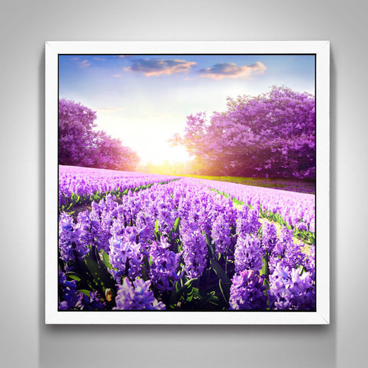 Lavendel Diamondpainting