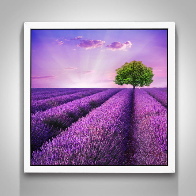 Lavendel Diamondpainting