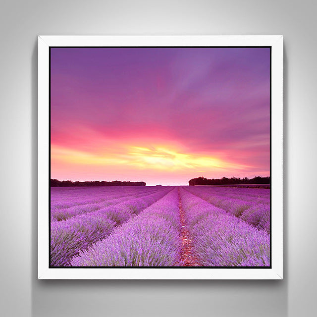 Lavendel Diamondpainting